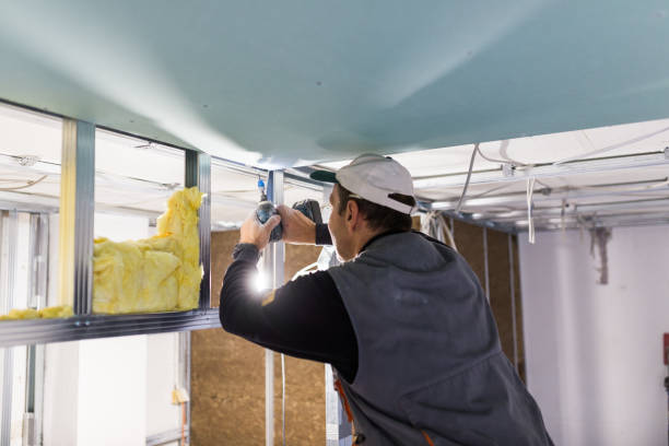 Best Insulation Installation Services in Bnchard, LA