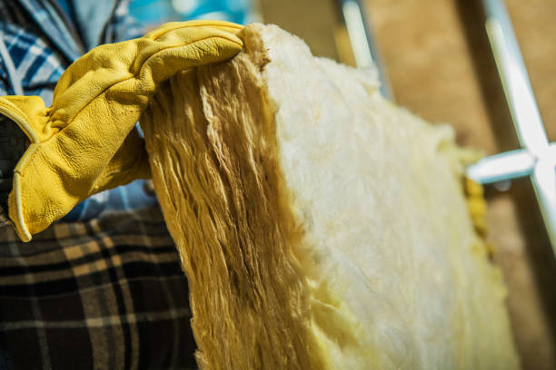 Best Residential Insulation in Bnchard, LA