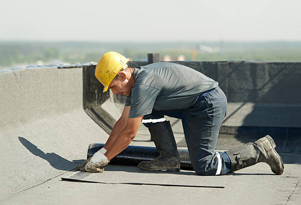 Best Insulation Installation Services in Bnchard, LA