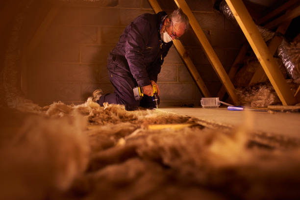 Best Insulation Maintenance and Repair in Bnchard, LA